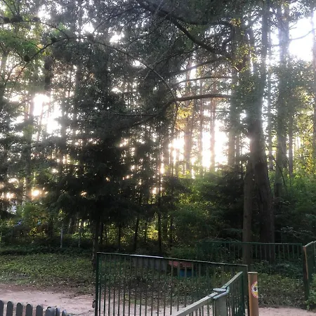 Bogaczewo Hytte Güldenboden