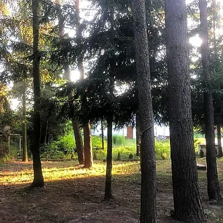 Bogaczewo * Güldenboden