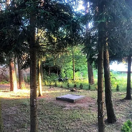 Hytte Bogaczewo Güldenboden