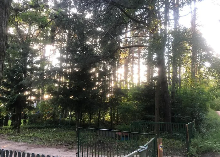 Bogaczewo Lodge Bogaczewo (Ostroda)